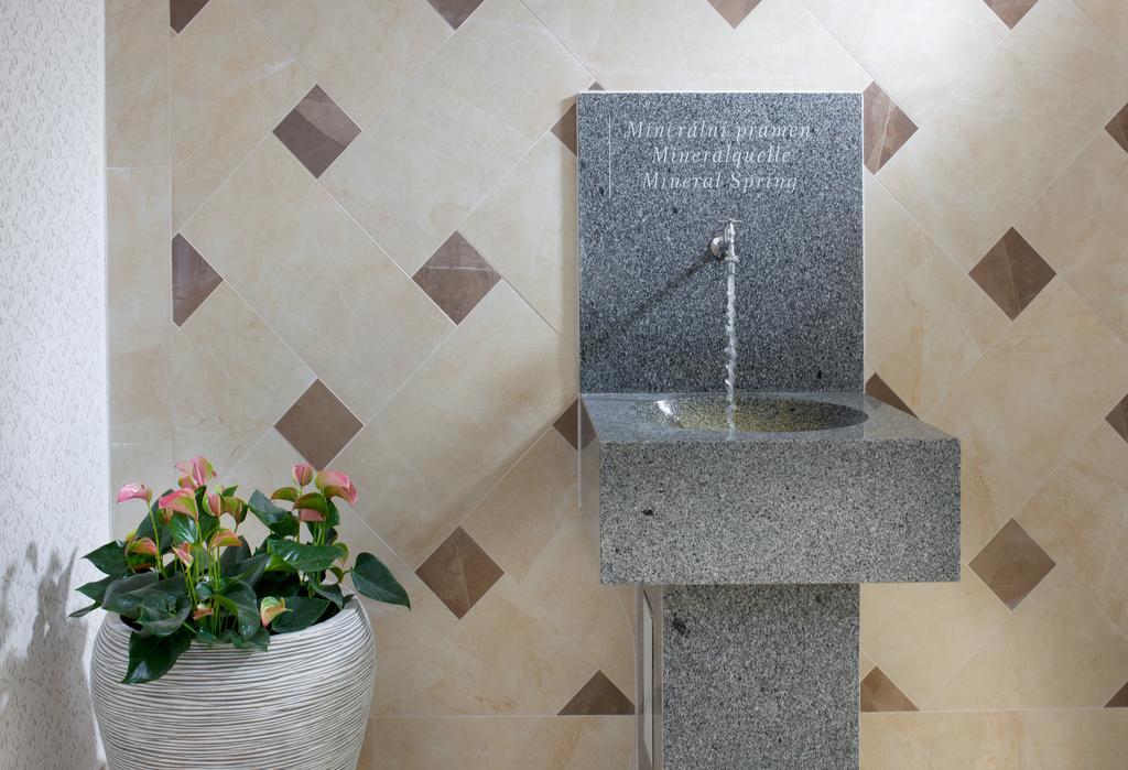 Badenia Hotel Praha Františkovy Lázně Buitenkant foto